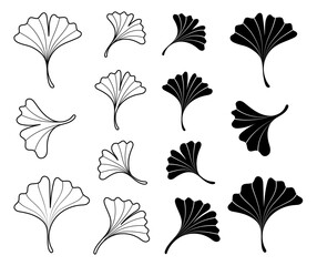 Ginkgo Leaves Line Art Elements and Silhouette Set, Hand-Drawn Botanical illustration