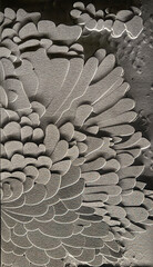 Close up of 3D carving in flower and leaves random pattern, carved on grey stone and composite. Suitable for wall panel decoration, and interior elements. Unique 3d panel. Seamless background texture