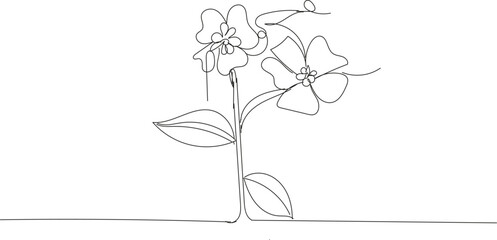 Two flowers and leaves, continuous line drawing, white