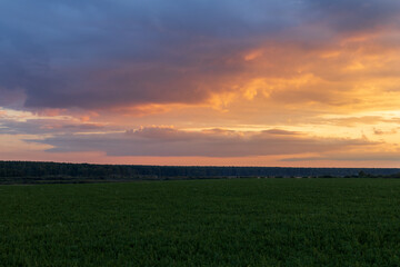 A beautiful sunset over a field of green grass
