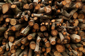 Wooden logs with rough textures