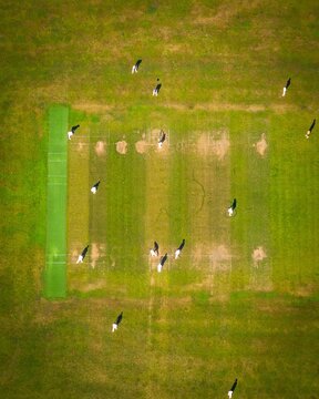 Aerial view of cricket players scattered across the lush green field, a vibrant spectacle of sport and open space, Hook, England, United Kingdom.