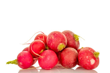 Fresh radish isolated on white background. macro.