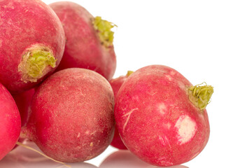 Fresh radish isolated on white background. macro.