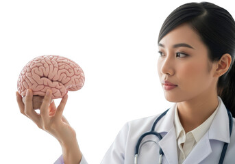 Doctor holding a human brain model isolated on transparent background