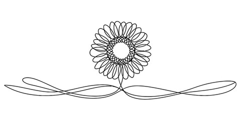 Elegant continuous line drawing of a stylized sunflower with swirling stems on a clean white background, ideal for design. Vector, illustration