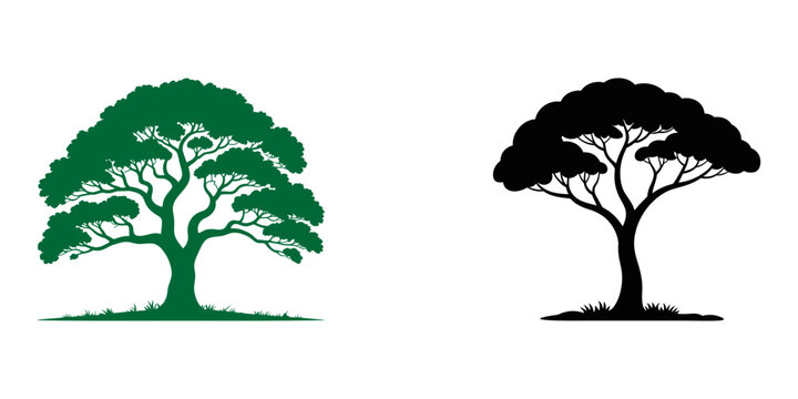 one continuous line drawing of a minimalist tree modern botanical illustration