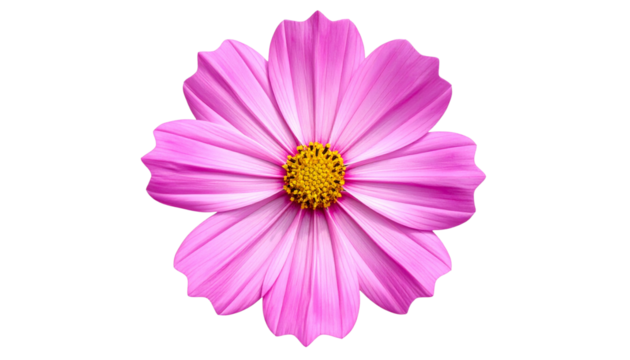 Vivid Pink Petaled Bloom with Bright Yellow Core – PNG Floral Element - Powered by Adobe