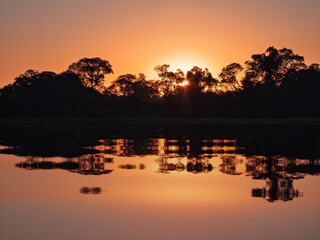 Breathtaking landscape of the North Pantanal at dusk, with silhouettes of trees reflected on the water. Pocone, Mato Grosso, Brazil. Brazilian nature and wilderness.