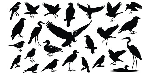 Collection of various black bird silhouettes against a clean white background
