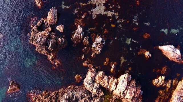 Bare dangerous rocks stick out of waterscape. Dark seaweeds cover the bottom of the seascape. Top view.