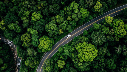 Aerial view of a solitary white car driving along a winding asphalt road through a dense vibrant green tropical rainforest canopy
