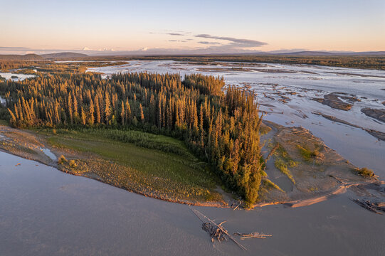 Aerial view of the braided river reflecting the sky, bordered by dense green forests touched by golden light, contrasting with the distant, snow-capped mountains, Salcha, Alaska, United States.