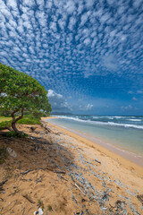Nukoli'i Beach on Kauai, HI