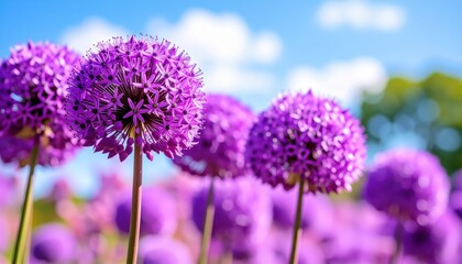 Purple flowers gracefully float across a clear sky purple blooms elegantly ascend towards a serene horizon