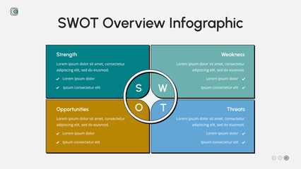 SWOT Overview Infographic