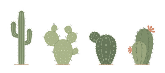 Set of cute cactus. Hand drawn colored flat isolated vector illustration on white background.