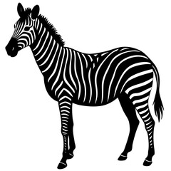 Obraz premium Black and White Zebra Silhouette on White Background 1