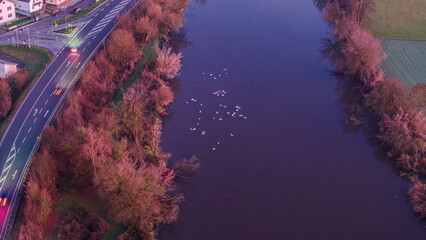Schw&auml;ne schwimmen in einem Fluss in der Stadt w&auml;hrend des Sonnenuntergangs