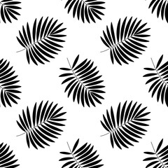 Monochromatic black palm frond pattern on a clean white background for tropical design