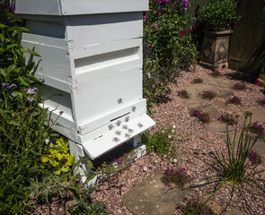 Garden Beehive in summer