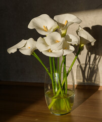 A bouquet of white calla lilies arranged in a glass vase filled with water. Warm sunlight casts gentle shadows on the wall, enhancing the flowers&rsquo; elegance and refined simplicity.