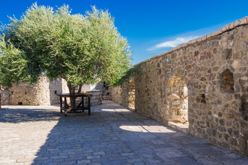  Stone courtyard in Ulcinj&rsquo;s Old Town, Montenegro, featuring an olive tree framed by ancient fortress walls. Warm sunlight highlights the texture of the historic masonry under a clear blue sky.