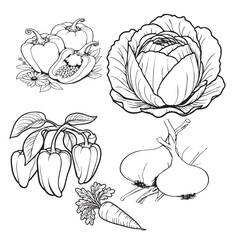 Continuous line drawing of fresh produce