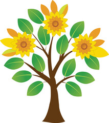 Sunflower tree white