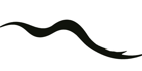 Black and brown vector illustration of a snake silhouette and a mustache isolated close-up object