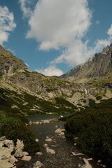 Obraz premium Rocky Mountain Stream Among Verdant Slopes