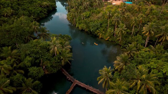 Kayak tour on a blue river bending surrounded by lush green palm trees in Siargao, Philippines, South East Asia