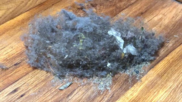 A heap of household dust and dirt on parquet after cleaning the room
