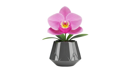 Digital rendering of a pink orchid with yellow center in a dark gray faceted pot