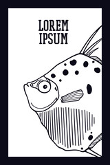 Vector card with hand drawn illustration of a sweet ocean fish made in graphic style. Ink drawing, beautiful design elements. Perfect print for any business related to the fish industry.