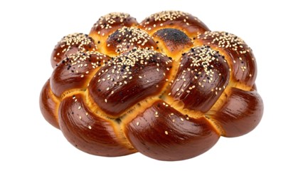 Detailed macro shot of a colorful sea coral polyp isolated on transparent background