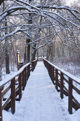 Snow-covered wooden walkway leading through winter forest with bare trees.