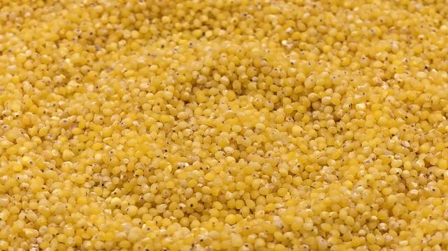 Yellow raw organic healthy millet groats grain seeds textured food background