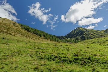 vista panoramica guardando dal basso verso l'alto i pendii e le creste di una montagna nel nord Italia, di giorno, in autunno, con meteo sereno