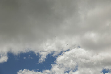 alianti leggeri che volano nel cielo nuvoloso, di giorno