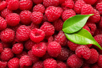 Fresh ripe raspberries and leaves as background, top view