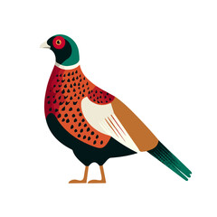 Clean 2D flat vector depiction of a Pheasant, designed in minimalist modern style with white background.