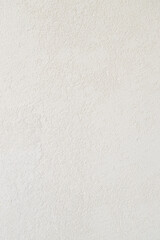 Close-up view of a light, neutral-toned textured wall with subtle grain and organic plaster...