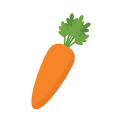 Single fresh orange carrot vegetable with green leaves vector illustration isolated on white background.