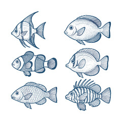 Exotic Tropical Coral Reef Fish Vintage Sketch Set