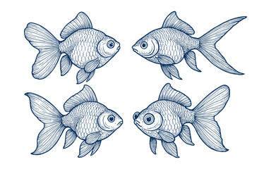 Vintage Hand Drawn Engraving Illustration of Goldfish Set
