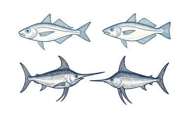 Fototapeta premium Swordfish and Whitefish Vintage Engraving Sketch Set
