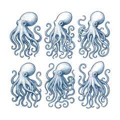 Octopus Marine Animal Vintage Engraving Illustration Set