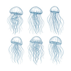 Jellyfish Marine Life Vintage Hand Drawn Sketch Set