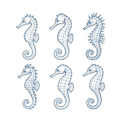 Seahorse Marine Life Vintage Engraving Sketch Set